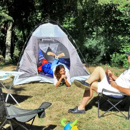 Sur Pilotis Avec Terrasse - 7 Pers. - Api-1-52-2217 Campingplads Saint-Astier (Dordogne)