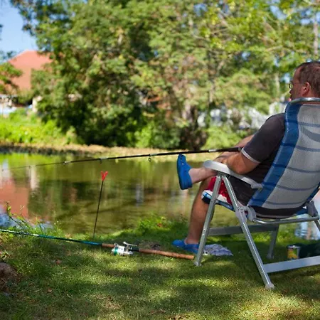 Sur Pilotis Avec Terrasse - 7 Pers. - Api-1-52-2217 Campingplads Saint-Astier (Dordogne)